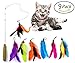 MOMODA Retractable Cat Wand/Fun Worms Toy for Cats, Assorted Feather/Worms Teaser,Exerciser Interactive Cat Wand/Refills Feathers for Cat or Kitten