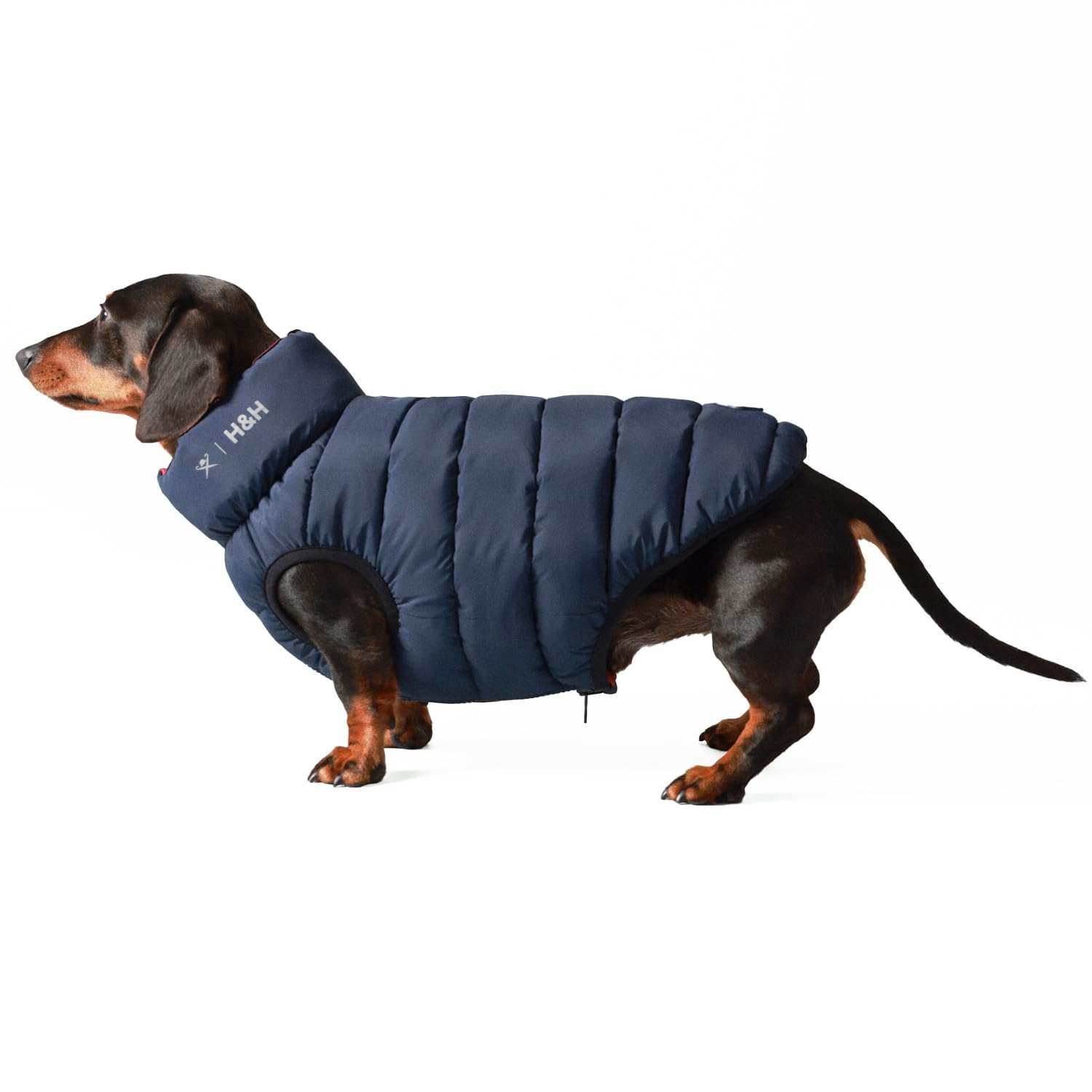 HUGO & HUDSON x HACKETT Reversible Dog Puffer Jacket Warm Winter Coat, Navy & Berry M40