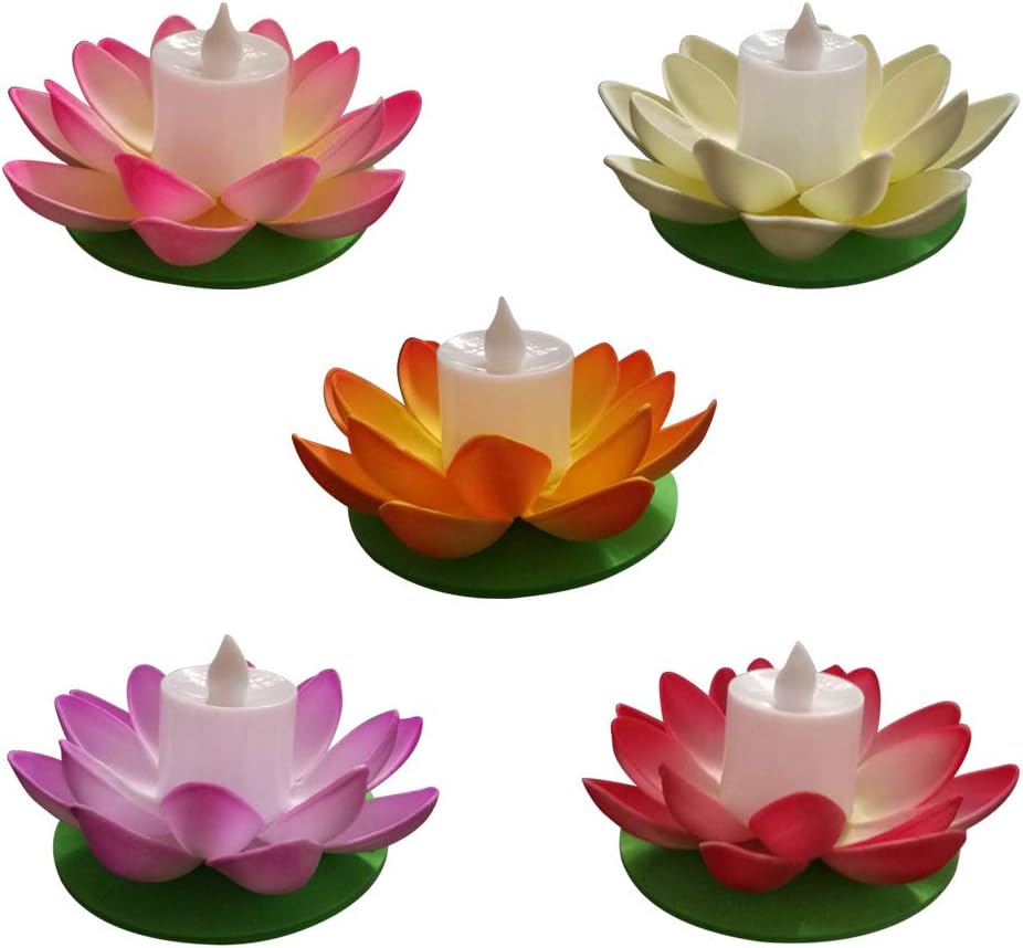 Lotus lantern на пк. Корея лотус pumpkin. Lotus lantern на пк. Lotus lantern на пк. Lotus lantern отзывы.