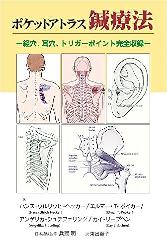 最大の割引 針のない鍼灸効果石 ヘルスリカバリーチップ 5個セット箱入り Www Gyoung Tw 最大の割引 針のない鍼灸効果石 ヘルスリカバリーチップ 5個セット箱入り Www Gyoung Tw