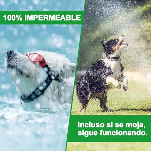 Collar Antiparasitario Perros, Seguro y Eficaz Collares Antiparasitos Perros, 12 Meses de Eficacia Collar Antipulgas Perro de 65 cm para Perro Pequeños, Medianos y Grandes (65cm*2)