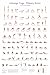 Ashtanga Primary Series Practice Chart| Yoga Poses Poster| 24x36 inch |Sequence of Asanas | Essential Yoga Chart |Cool Eclectic Colorful Wall Decor| Infographic Art Print