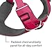 Ruffwear, Front Range Dog Harness, Reflective Soft Padded Everyday Harness with Dual Leash Clips, Adjustable and Lightweight Fit for Training or Walking for All Dogs, Wild Berry, Large/X-Large