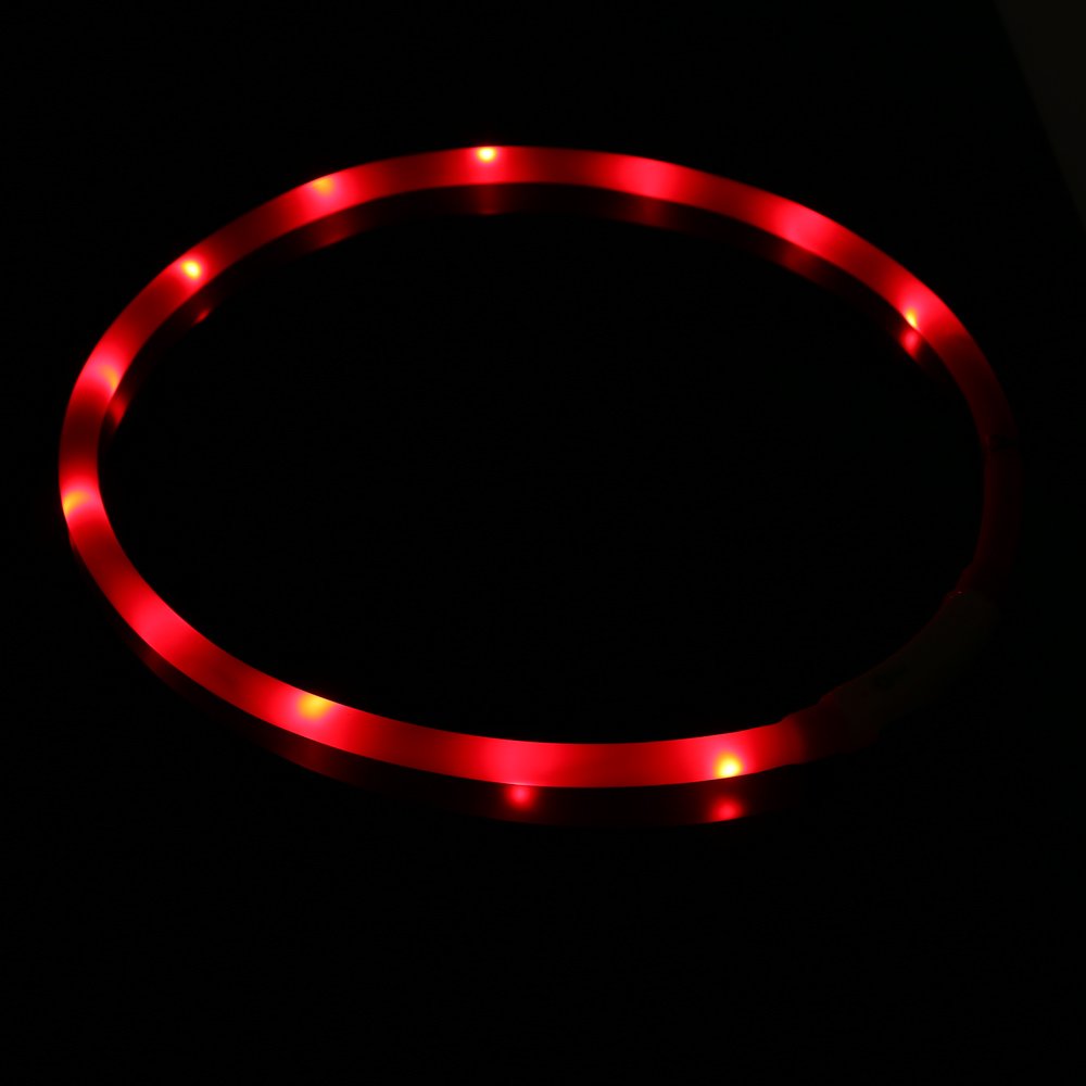ZOGIN Collar de perro LED, collar de seguridad recargable USB para perro gato y otro animal doméstico, color rojo