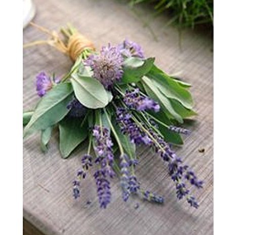 image for NolaAndNeighbors Lavender and sage