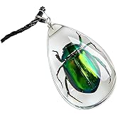 Acxico 1Pcs Egyptian Scarab Beetle in Resin Charm Tibetan Silver 18" Necklace
