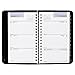 DayMinder Weekly Pocket Appointment Book 2016, 3-9/16 x 6 Inches, Black (G250-00-16)