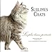 sublimes chats by 