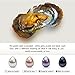 Nameo Wholesale 10pcs Akoya Oysters with Oval Cultured Pearls Inside Birthday Gifts (6-7mm)