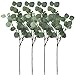 Winlyn Pack of 4 Artificial Silver Dollar Eucalyptus Leaves Spray Greenery Stems in Grey Green 25.5