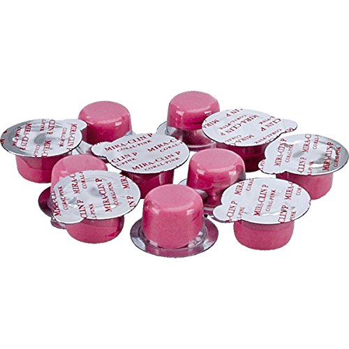 Tooth Polish Prophy Paste - Cleaning Paste for Teeth 10 x 2 g