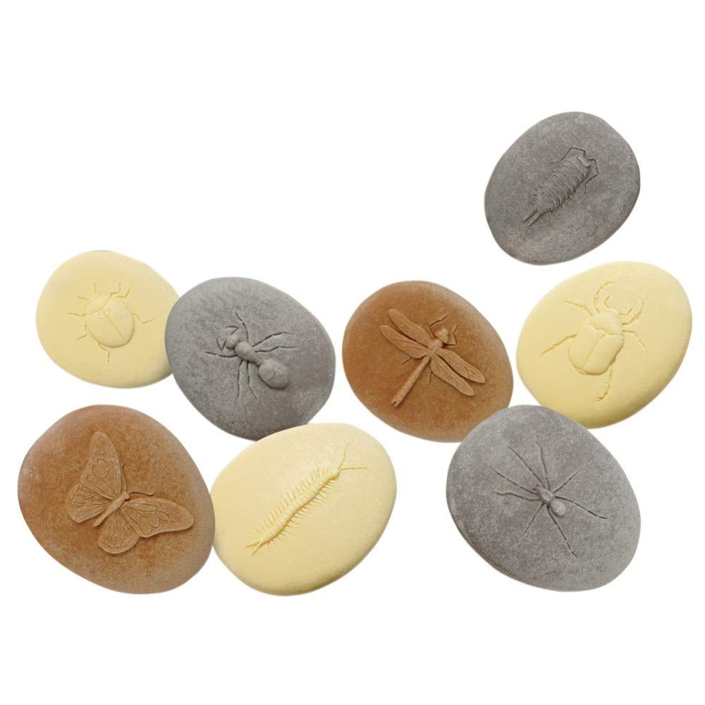 Yellow Door Let's Investigate – Bugs | Minibeast, Insect science toys |Early educational learning | STEM | kids age 2,3,4,5 | Messy Play | Outdoor toys | ant, beetle, butterfly, ladybird, spider