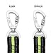 Dog Leash, Itery Reflective Dog Leash Pet Safety Walking and Trainning Leash 6 Feet Length 1 Inch Width (Green)