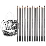Professional Drawing Sketching Pencil Set - 12 Pieces Drawing Pencils 10B, 8B, 6B, 5B, 4B, 3B, 2B, B, HB, 2H, 4H, 6H Graphite Pencils for Beginners & Pro Artists