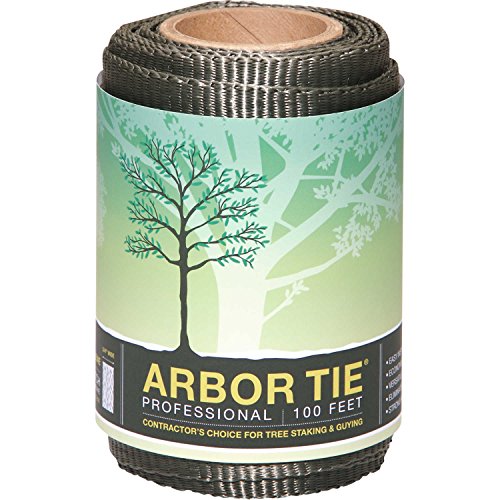 Deeproot Green Infrastructure, Llc Deeproot Arbortie Staking And Guying