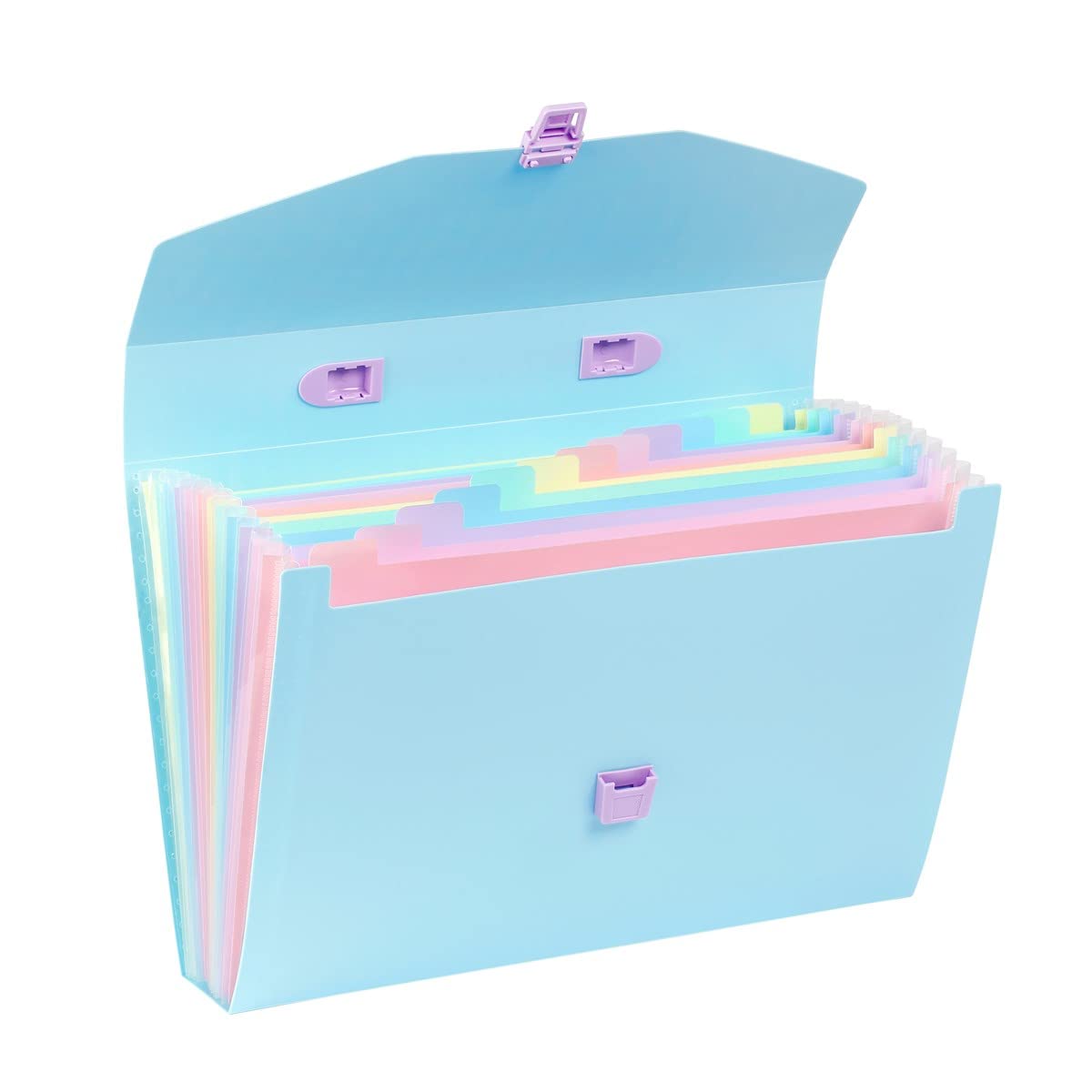 Viquel - A4 Case Organiser with 12 Compartments Rainbow Pastel