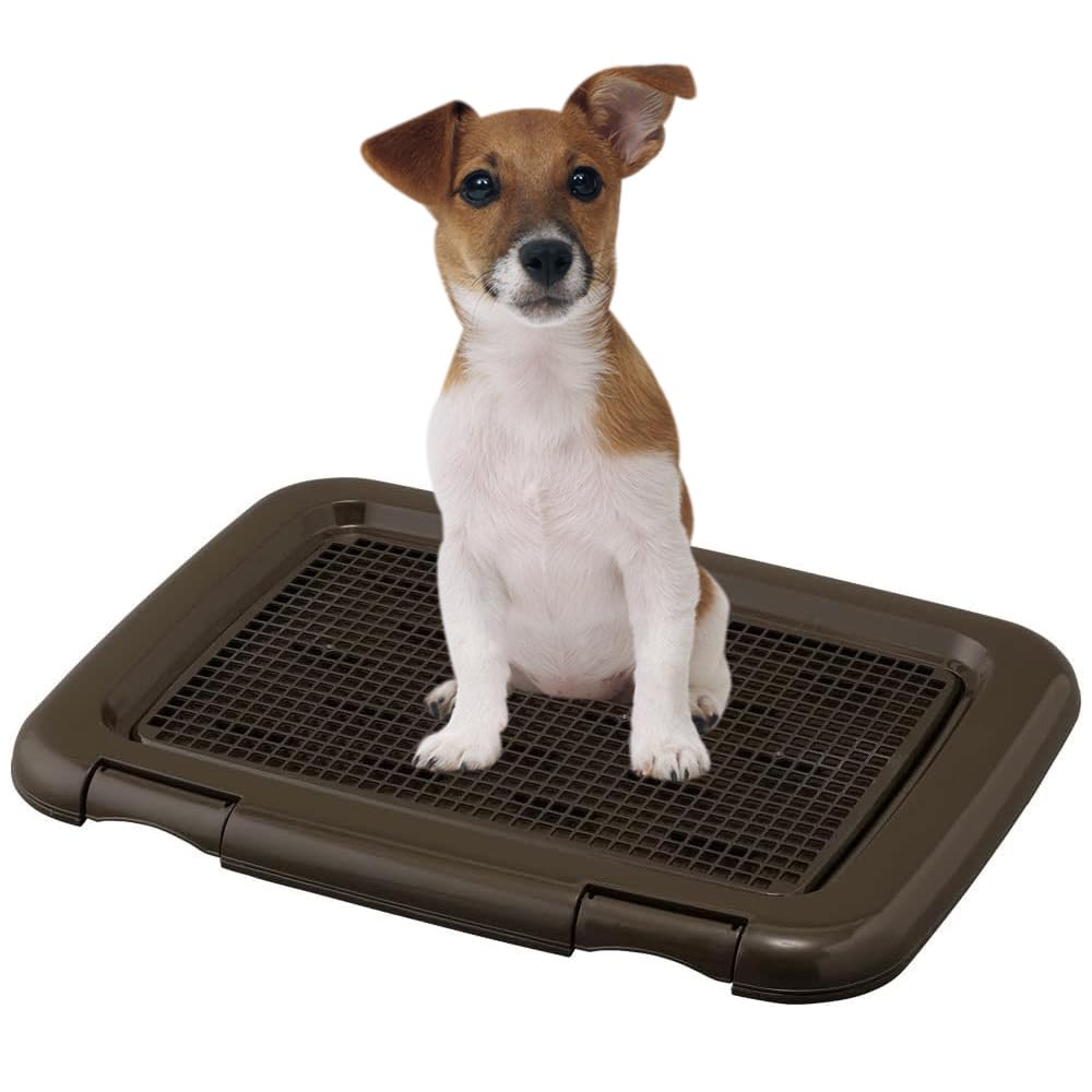 アイリスオーヤマ 犬 トイレ メッシュカバー付 フチもれしにくいトレーニングペットトレー レギュラー 銀イオン配合 抗菌 チャコールグレー商品画像