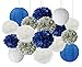 Furuix Bridal Shower Decorations 16 pcs White Navy Blue Grey 10inch 8inch Tissue Paper Pom Pom Paper Lanterns Mixed Package for Blue Themed Party Baby Shower Decoration (White Navy Blue)