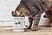 Fluff You, You Fluffin Fluff - 11oz Ceramic Coffee Mug - Funny Cup For Crazy Cat Ladies Grumpy Cat Lover Cat Desk Decor Cute Unique Cat Mom For Birthdays, Holidays And Mother’s Day - By CBT Mugs