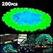 SUNNEST Glow in The Dark Pebbles, Glow Decorative Stones Rocks, Luminous Pebbles for Outdoor Decor, Garden Lawn Yard, Aquarium, Walkway, Fish Tank, Pathway, Driveway(200PCS) (Blue&Green)