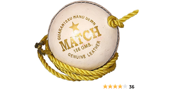 best ball for cricket practice