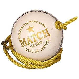 Gearex Hanging Leather Cricket Ball for Practice and Knocking Cricket Ball (White)