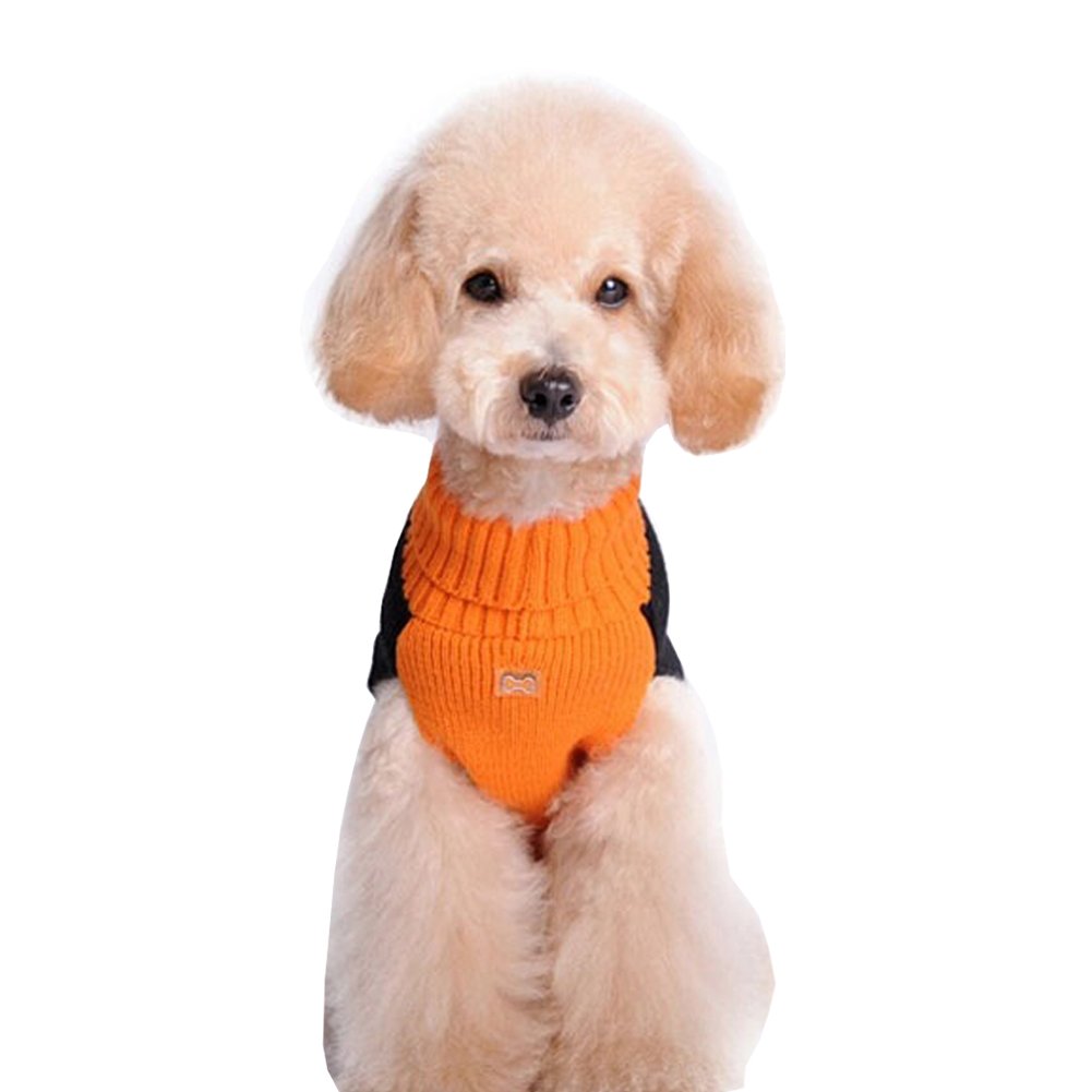 pumpkin sweater for dogs