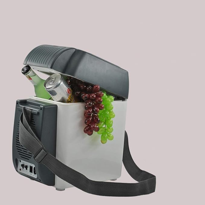 Guolipin Mini refrigerador de Coche Refrigerador y Calentador para ...