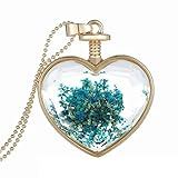 Bling Stars Dried Pressed Flower Living Memory Charms Locket Heart Pendant Necklace