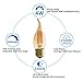 Panledo LED Filament Candelabra Bulb 4W Dimmable, 40W Equivalent, Vintage Classic Edison style, Amber Glass Light bulbs, Gold Tint Flame Tip, E26 Base, Ultra Warm White 2200K, Pack of 3
