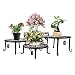 Metal Plants Stand Flowerpot Holder Iron Art Pot Holder, AISHN Flower Pot Supporting Indoor Outdoor Garden Pack of 4pcs with Different Size primary