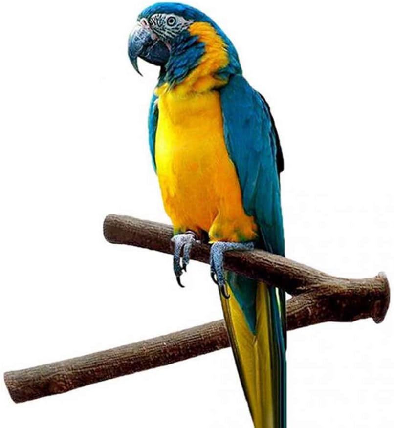 Tfwadmx Bird Perch, Parrot Stand Bird Toys Birdcage Stands Platform Natural Wood Fork Bird Cage Accessories for Budgies Cockatiels Conure Lovebirds Hamster Rat 3PCS. : Pet Supplies