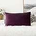 MIULEE Velvet Pillow Cover Soft Luxury Decorative Throw Pillow Cover Single Rectangle Cushion Case for Couch Sofa Bedroom Car Decor,12x20 Inch Eggplant Purple