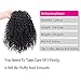Synthetic Afro Kinky Curly Ponytail Extension for African American Women Clip in Ponytail Drawstring Fluffy Coily Ponytail for Black Women 2#