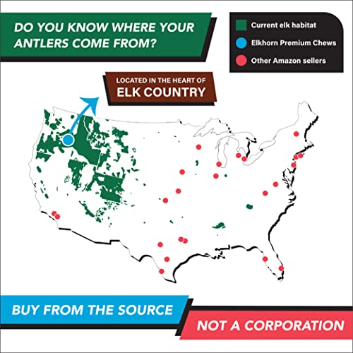 Elkhorn Premium Chews Large Split Single Pack (for 3050 lb Dogs