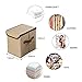 LightBiz Household Decorative Collapsible Jute Storage Box Drawer with Lids, 2 Pack, Khaki