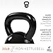 Kettlebell Weights Cast Iron by Day 1 Fitness – 30 Pounds - Ballistic Exercise, Core Strength, Functional Fitness, and Weight Training Set - Free Weight, Equipment, Accessories