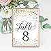 Hadley Designs Wedding Table Numbers 1-20 - Table Numbers for Wedding Reception Centerpiece, 4 x 6 Inches Double Sided Cards (Gold)