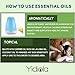 YIDIOLA Top 10 Essential Oils Set, 100% Pure Lavender,Peppermint,Eucalyptus,Tea Tree,Rosemary,Lemongrass,Sweet Orange,Sandalwood,Jasmine,Grapefruit Oils, w/2 Glass Droppers