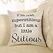 Fjfz The Office Décor TV Show Funny Decoration I'm not Superstitious But I am a Little Stitious, Michael Scott Sign Cotton Linen Home Decorative Throw Pillow Case Cushion Cover for Sofa Couch 18