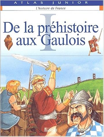L Histoire De France Tome 1 De La Prehistoire Aux Gaulois Amazon Fr Collectif Livres
