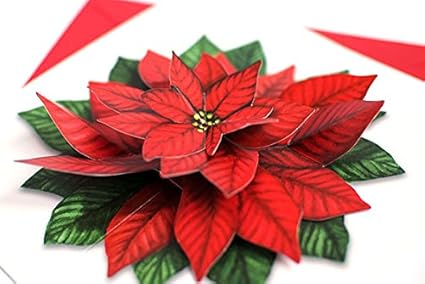 Biglietto Stella Di Natale.Pop Up Biglietto Di Auguri Di Natale Motivo Piegato 3 D Card Di Natale A Forma Di Stella Con Fiore L Ideale Per Esigenze Di Chrismas Amazon It Cancelleria E Prodotti Per Ufficio