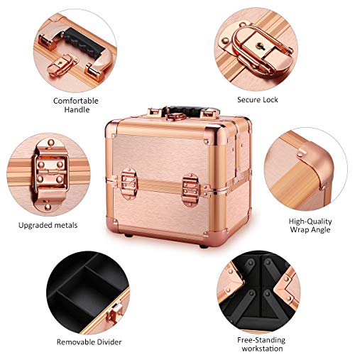 Ovonni Professional Portable Small Makeup Train Case, Artist Lockable Aluminum Cosmetic Organizer Storage Box with Compartments (Rosegold 1)