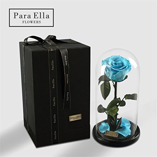 Beauty And The Beast Rose, Live Forever Rose in Glass, Live Enchanted