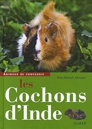 Les  cochons d'Inde