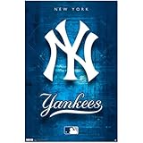 New York Yankees Logo 2011 Sports Poster Print