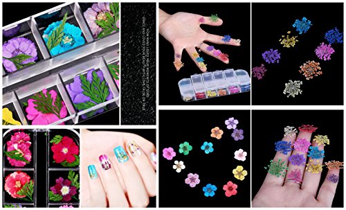 XICHEN Nail Art Accessories 12-color three-dimensional nail dry flowers 36 Starry + 36 five flower+36 Beauty cherry, Zou Ju with leaves
