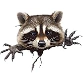 Peeking Raccoon Decal Sticker, Funny Adorable Pickaboo Raccoon Face Sticker for Bumper Window Mirror as Vinyl Waterproof Removable Weatherproof Outdoor Decals
