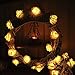 String Lights,Mulcolor 20 LED Battery Operated Rose Flower String Lights Fairy Lights for Valentine's,Wedding,Party,Indoor Decoration,Warm White