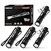 RISEMART Keychain Flashlight, Small Mini Pocket Led Pen Light Super Bright EDC Waterproof 3.5inch Portable with Clip and AAA Battery (Pack of 4) for Inspection, Hiking, Camping